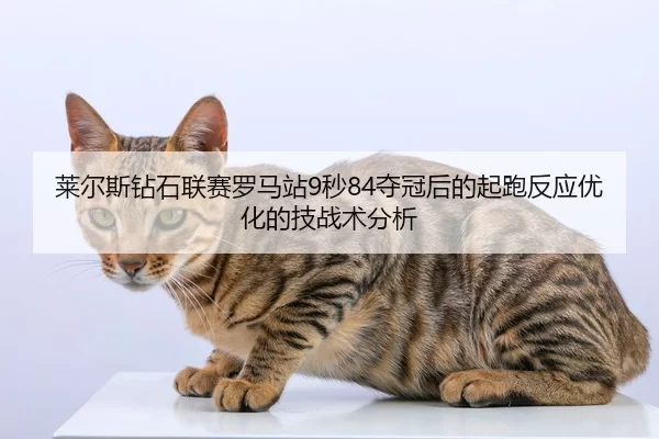 lai-er-si-zuan-shi-lian-sai-luo-ma-zhan-miao-duo-guan-hou-de-qi-pao-fan-ying-you-hua-de-ji-zhan-shu-fen-xi-2-182.jpg