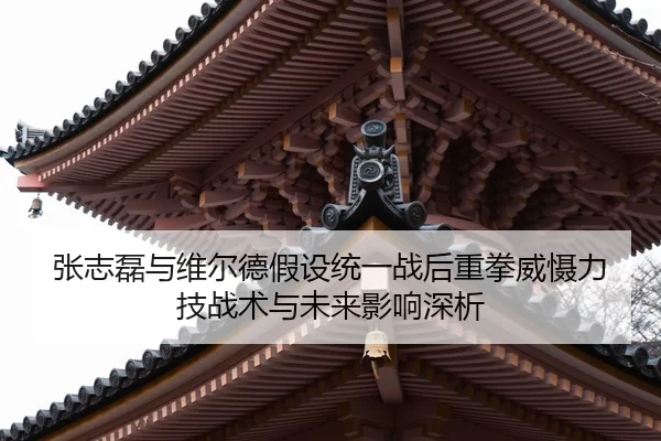 张志磊与维尔德假设统一战后重拳威慑力技战术与未来影响深析